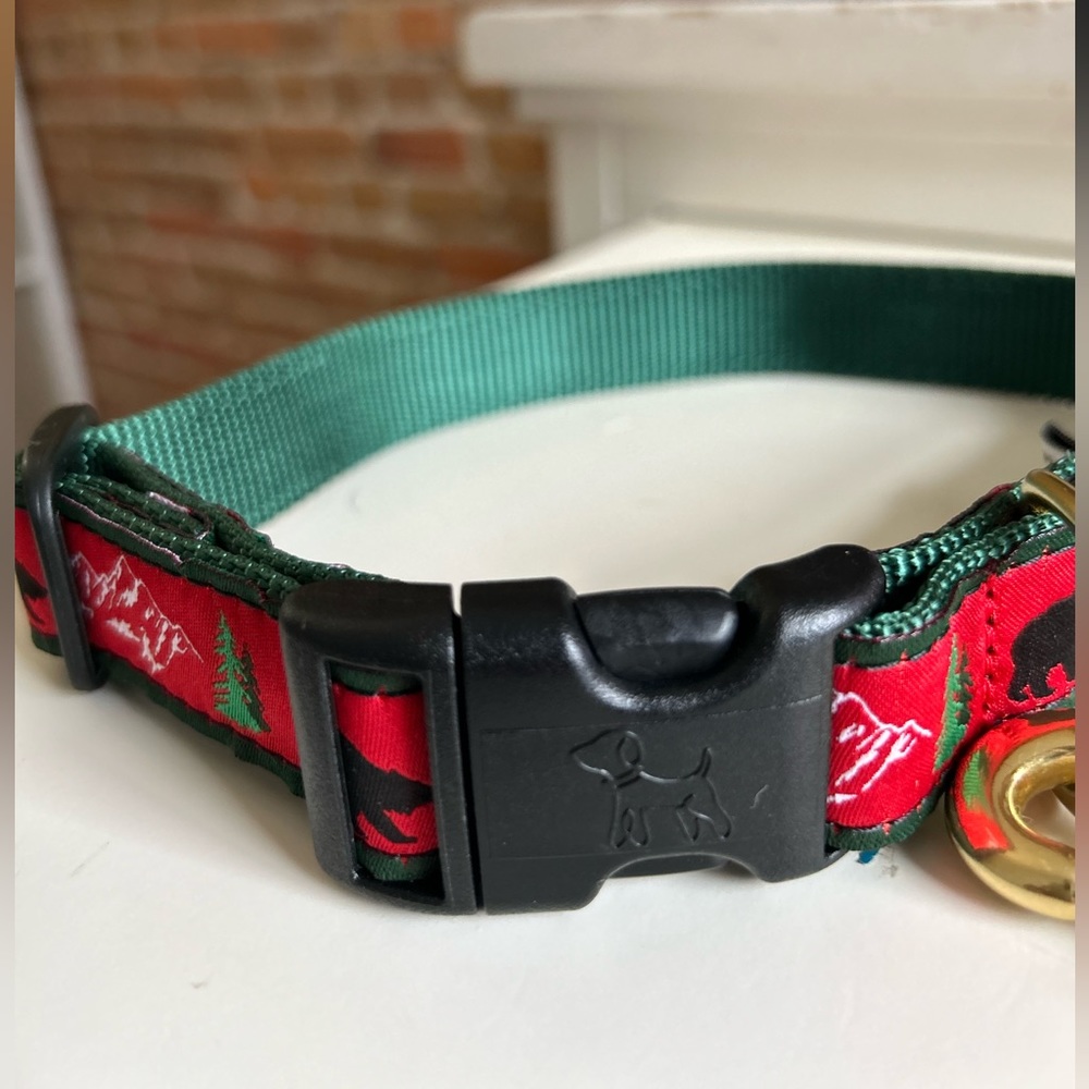 Up Country Bear Collar and Lead